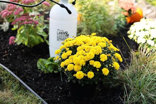 2 Gallon Lawn & Garden Sprayer (256 Fl Oz)