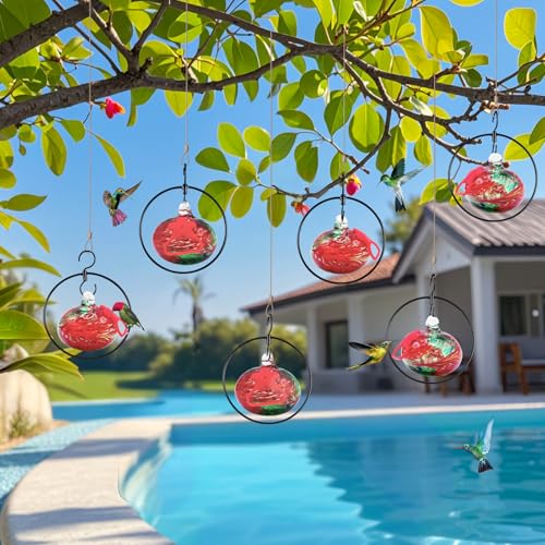 Flexible 6 Pack Hummingbird feeders for Outdoors Hanging Ant and Bee Proof