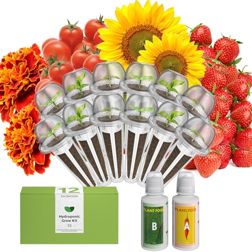 Vibrant Wildflower & Fruit Mixd Seed Pod Kit for AeroGarden