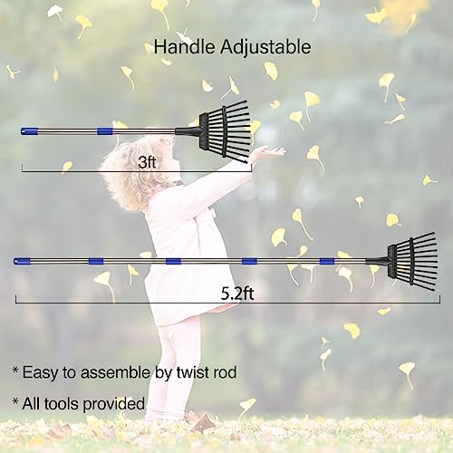 Rake for Leaves