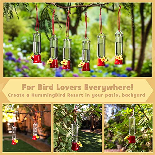 Set of 6 Mini Hummingbird Feeders with Hanging Wires