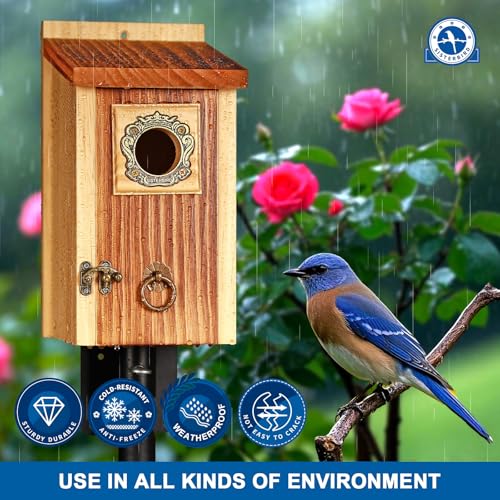 2 Pack Premium Bird House