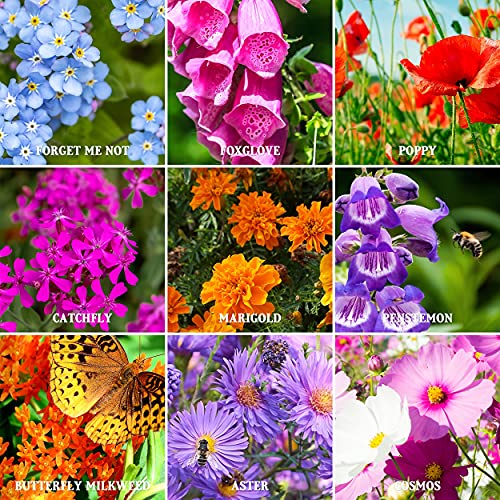 Premium Wildflower Seeds 23 Variety Pollinator Mix