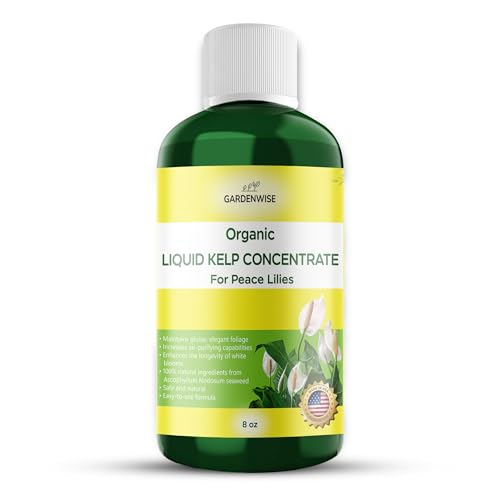 Organic Premium Kelp Seaweed Fertilizer for Peace Llily (8 Fl Oz)