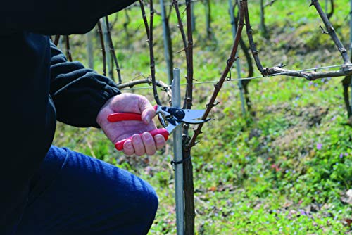 F17 Pruning Shears