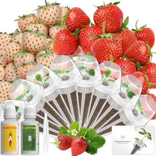 Herb Seed Pod Kit Compatible with AeroGarden Hydroponics Growing System (8 Pod)