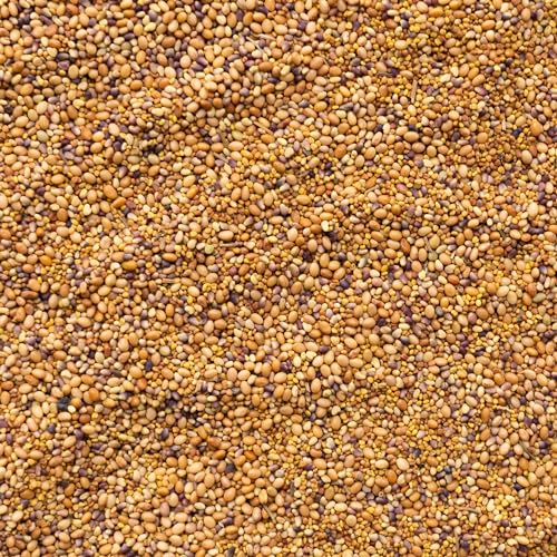 Mountain Valley Seed Co Clover Trio Seed Blend (16 Ounce)