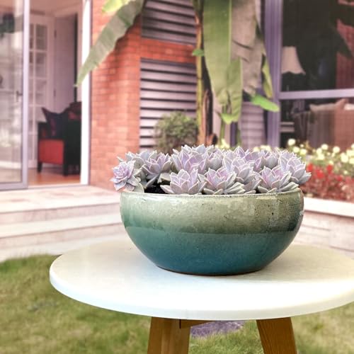 11 9 7 Inch Succulent Pot with Drainage and Mesh Pads Large Round Ceramic Plant Pot for Indoor Outdoor Plants Succulent Planter Cactus Bonsai Pot Container Set of 3 (3 Count)