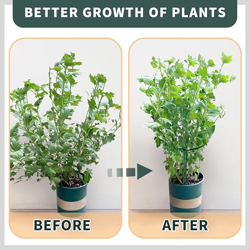 10 Pack Plant Support Stakes for Peony (10 Count)