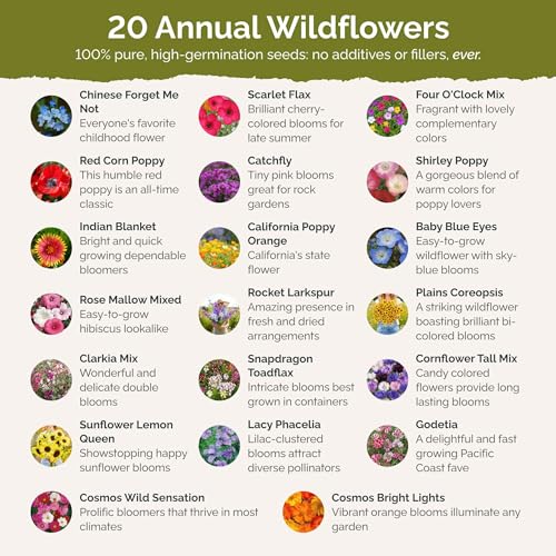 All Annual Wildflower Mixed Seeds for Planting