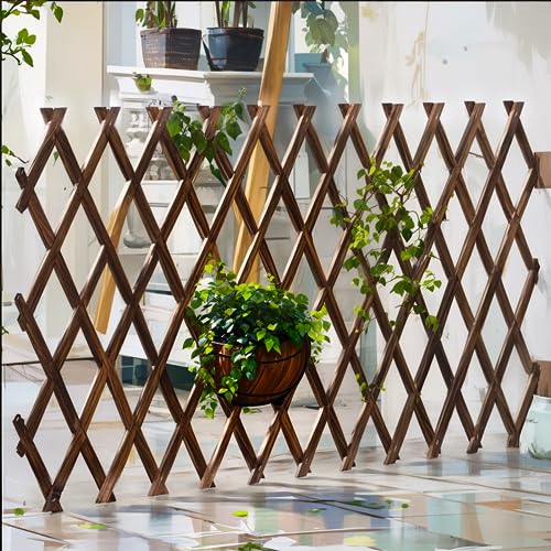 2Pcs Expandable Garden Trellis (2 Count)