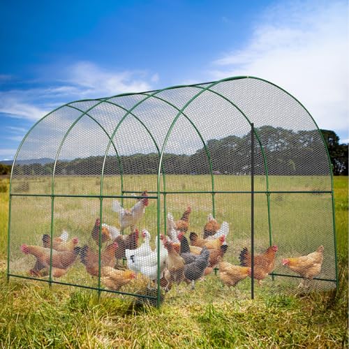 Large Garden Support Arch Frame for Climbing Plants (9.85 x 7.05 x 7.22 ft)