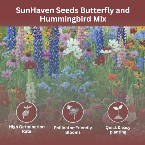 Butterfly and Hummingbird Wildflower Mix