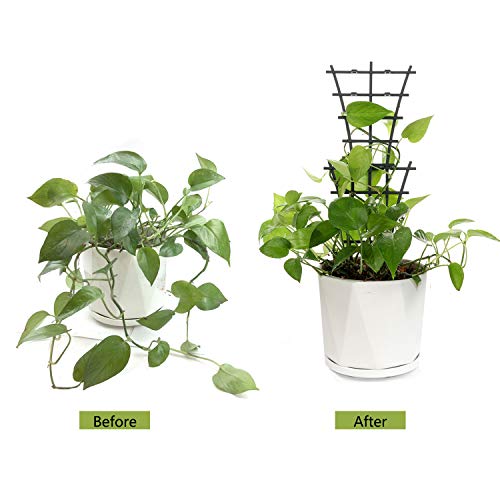 12Pcs Indoor Plant Trellis for Climbing Plants Outdoor