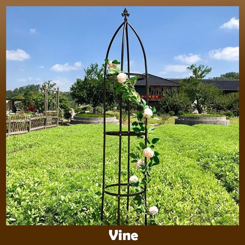 100% Metal Garden Obelisk Trellis Heavy Duty 6.3 ft Tall for Climbing Vines