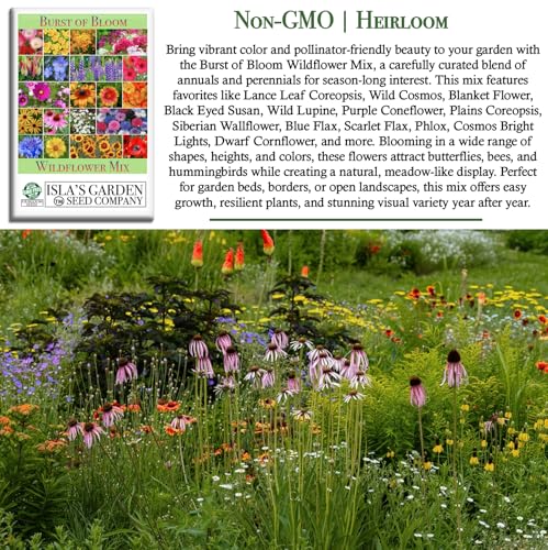 Burst of Bloom Wildflower Seed Mix (2500 Count)