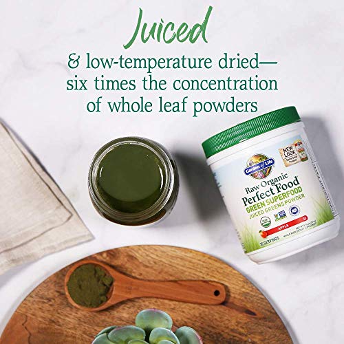 Raw Organic Perfect Food Apple Superfood Powder (8.3 Ounce)
