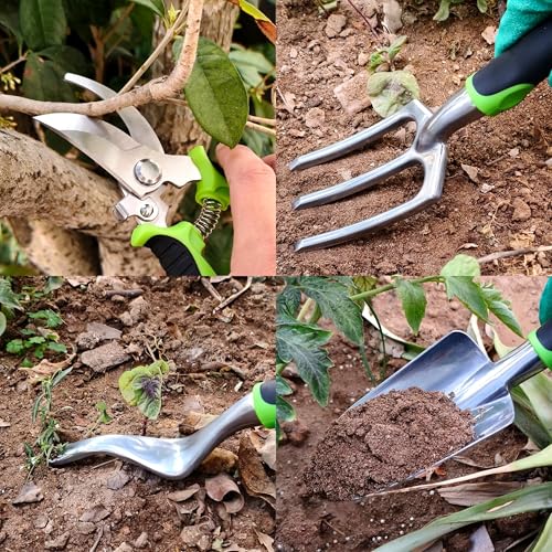 41 Piece Premium Gardening Tool Set (41 Count)
