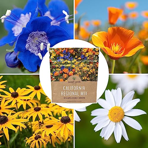California Wildflower Mixture (7000 Count)