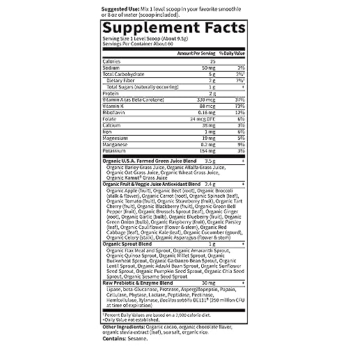 Raw Organic Perfect Food Chocolate Powder (20.1 Ounce)