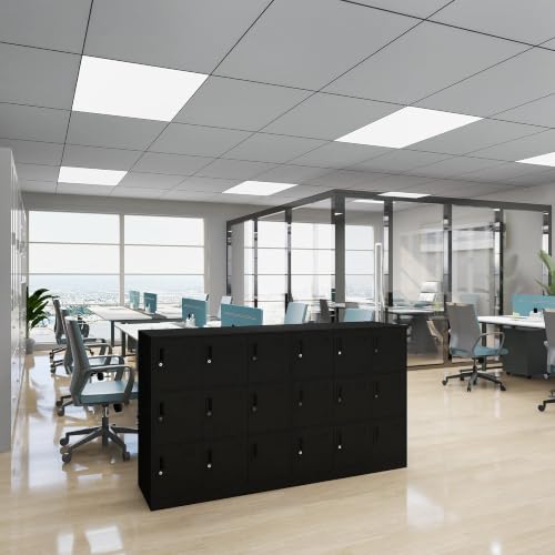 Metal Storage Locker Cabinet for Office (Black / 9 Doors)
