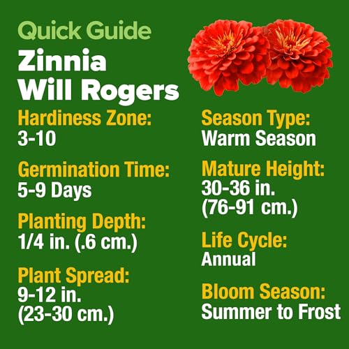 Will Rogers Zinnia Seeds (2 Count)