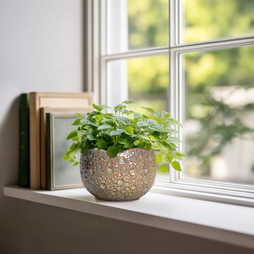 Ceramic Plant Pots (6.2 Inch / Speckled-brown)