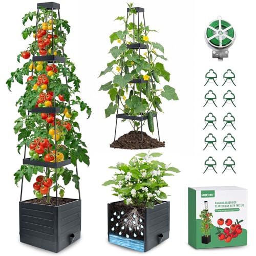 2Pack Raised Garden Bed Planter Boxes with Trellis (2 Count)