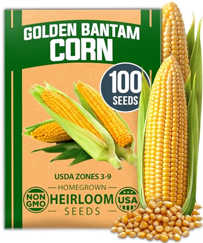 Golden Bantam Sweet Corn Seeds