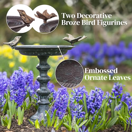 Hummingbird Bird Baths for Outdoors Heavy Duty