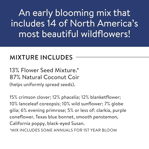 American Wild Wildflower Seeds