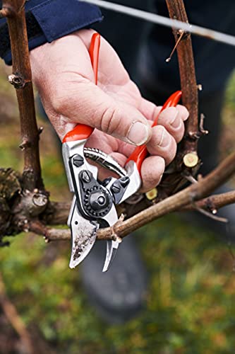F 14 Pruning Shears