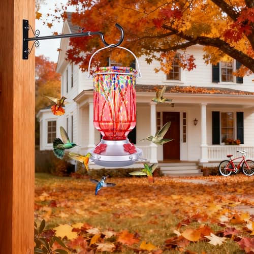 Hummingbird Feeders for Outdoors with Ant Moat