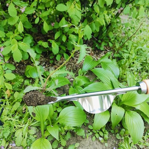 Gardening Tool (3 Count)