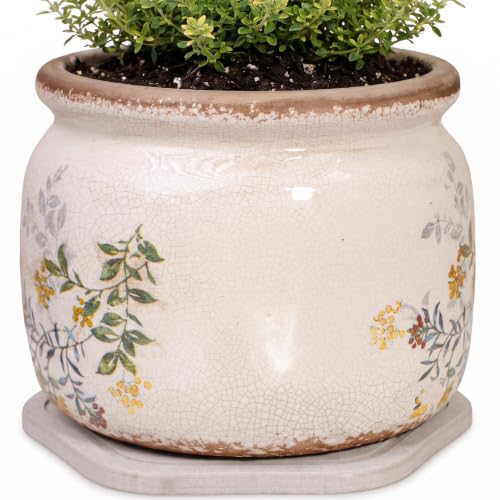 Rustic Cottage Ceramic Plant Pot with Decorative Saucer (Yellow Sage / 7.7 in - w/ Saucer)