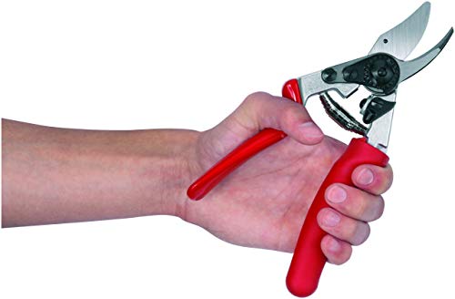 F17 Pruning Shears