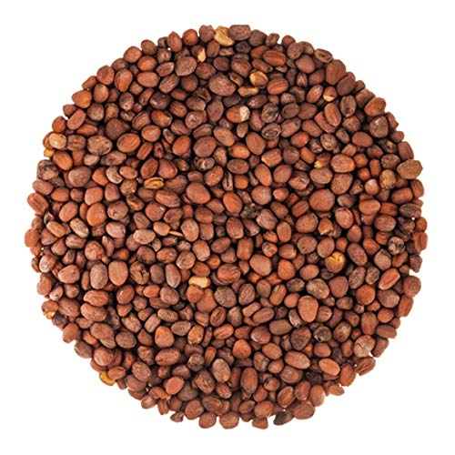 Organic Radish Seeds for Sprouting (80 Ounce)