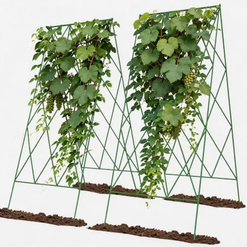 Cucumber Trellis 2 Pack (Grass Green / 39.4" H)