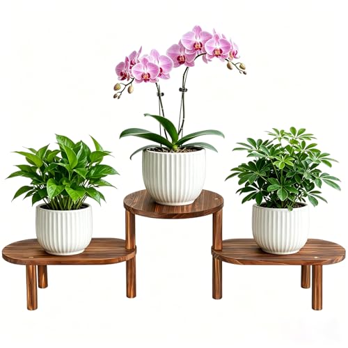 3 Tier Wooden Plant Stand Indoor