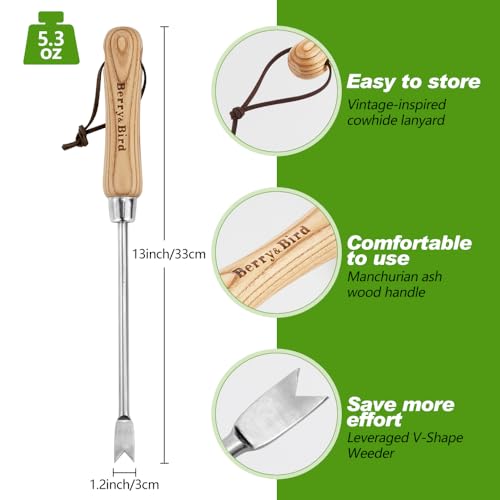 Dandelion Weeding Tool