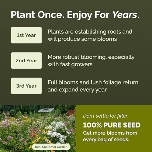 All Perennial Wildflower Mixed Seeds for Planting (80 Ounce)