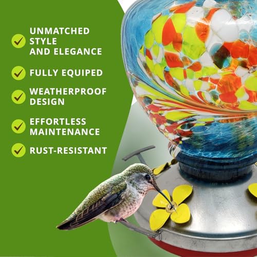 Glass Hummingbird Feeder for Outdoors