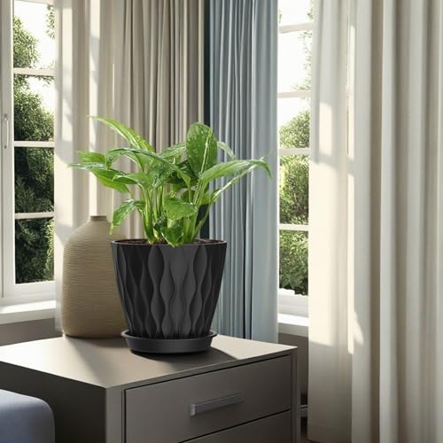 6 Inch Plant Pots (Black / 6inch)
