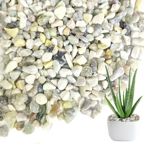 1.1 LB Natural Small Jade Gravels Mini River Rocks