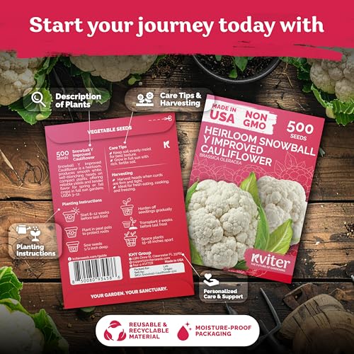 500 Snowball Y Improved Cauliflower Seeds for Planting