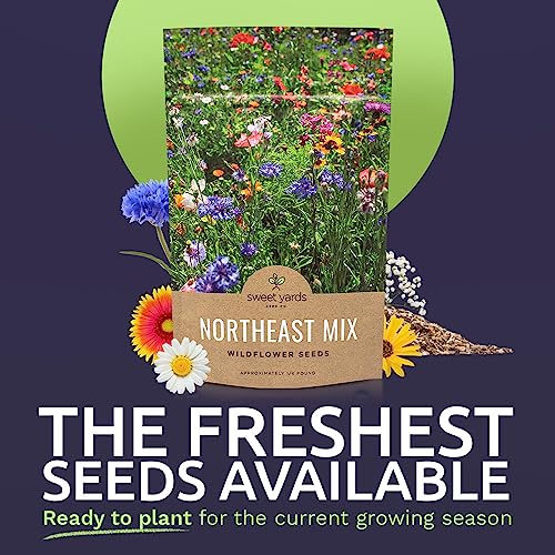 Northeast Wildflower Seed Regional Mixes