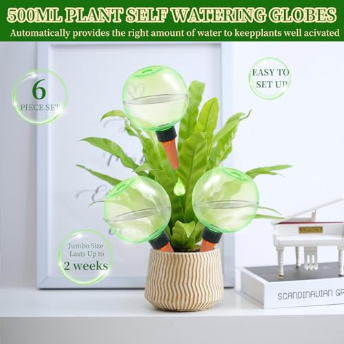 6pcs Large Plant Self Watering Globes (6pack / Green)