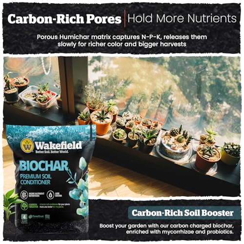 Wakefield Premium Biochar Soil Conditioner Organic Biochar 4 Quarts (16 Ounce)
