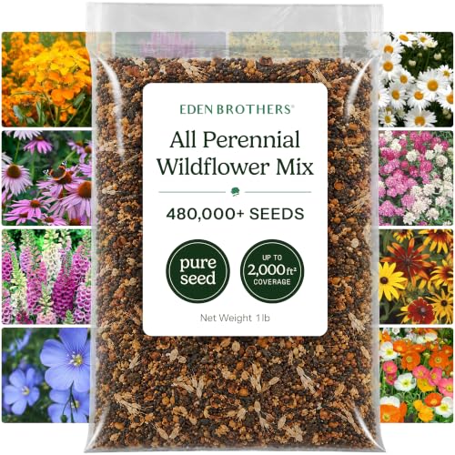 All Perennial Wildflower Mixed Seeds for Planting