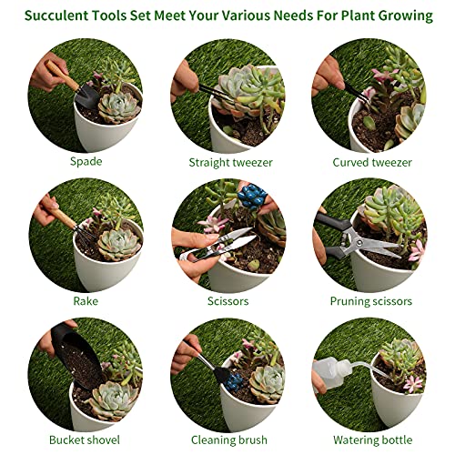 11Pcs Succulent Tools